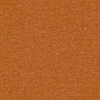 Ковролин Radici Nexus Ambra 2401 фото 1 | FLOORDEALER